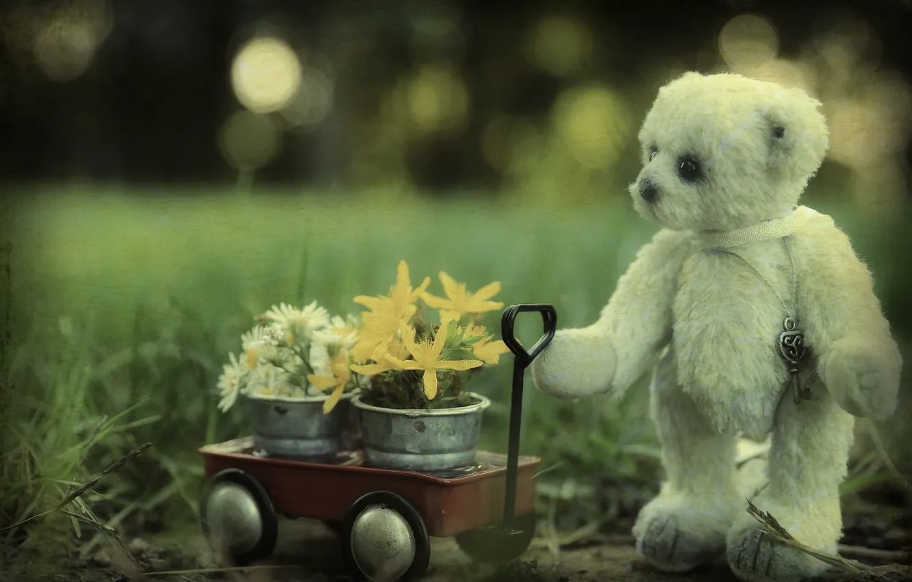 Photo wallpaper white, grass, flowers, nature, childhood, background, toy, garden