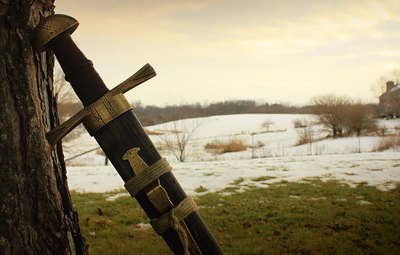 Photo wallpaper trees, nature, background, sword, arm