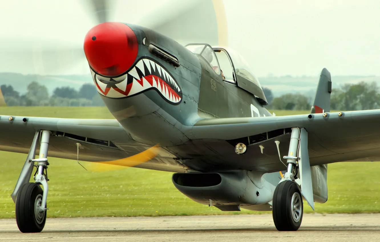 Photo wallpaper Mustang, fighter, cabin, P-51