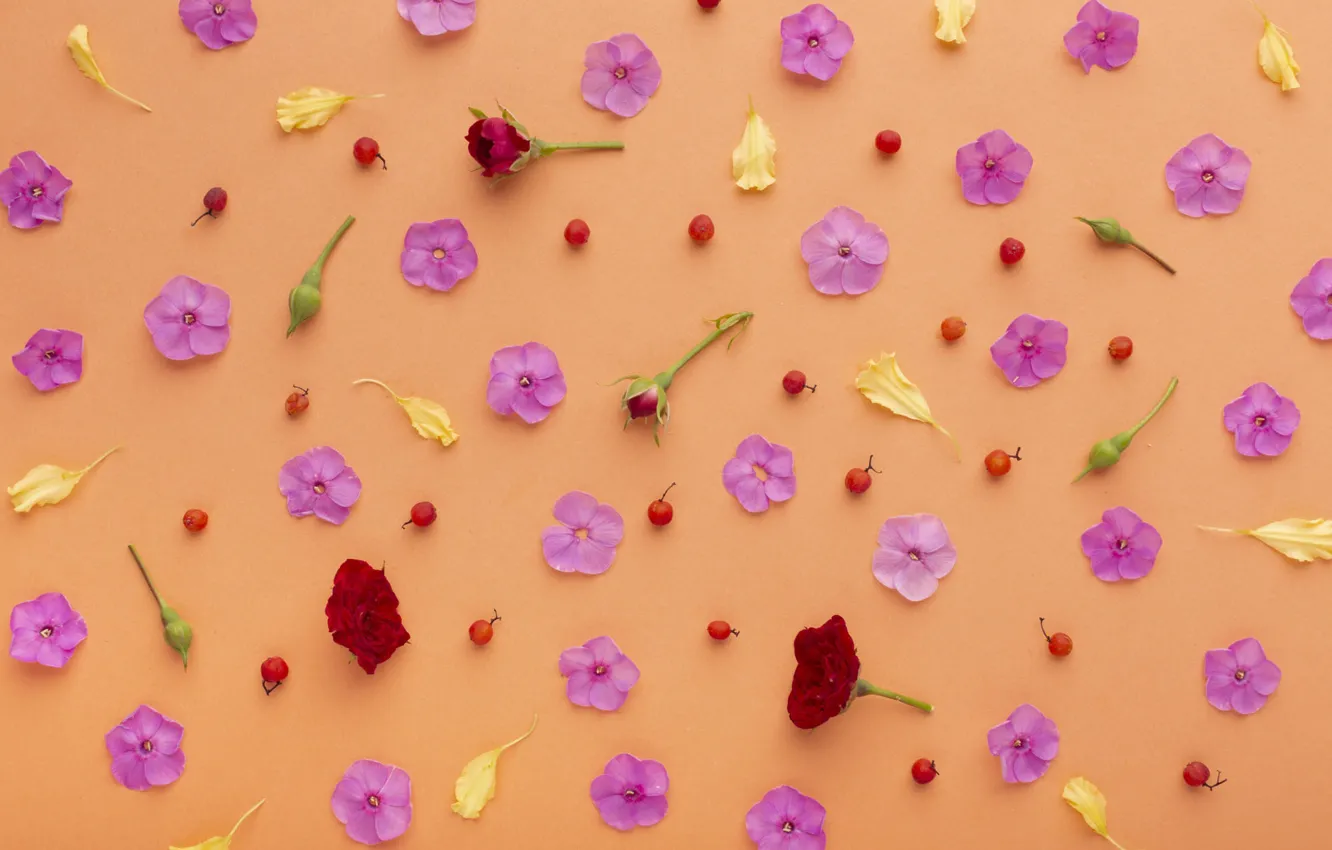 Photo wallpaper flowers, berries, background, roses, texture, petals, fruit, flowers