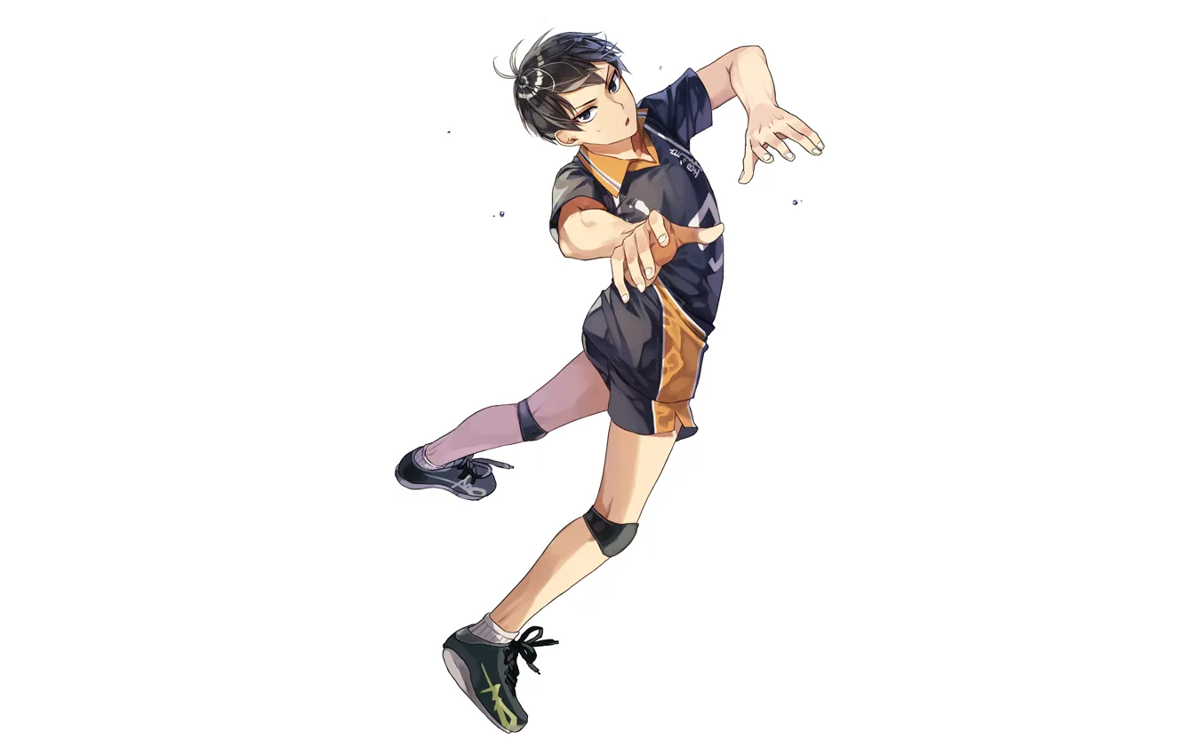 Photo wallpaper sport, volleyball, HAIKYUU, Kageyama, Tobio