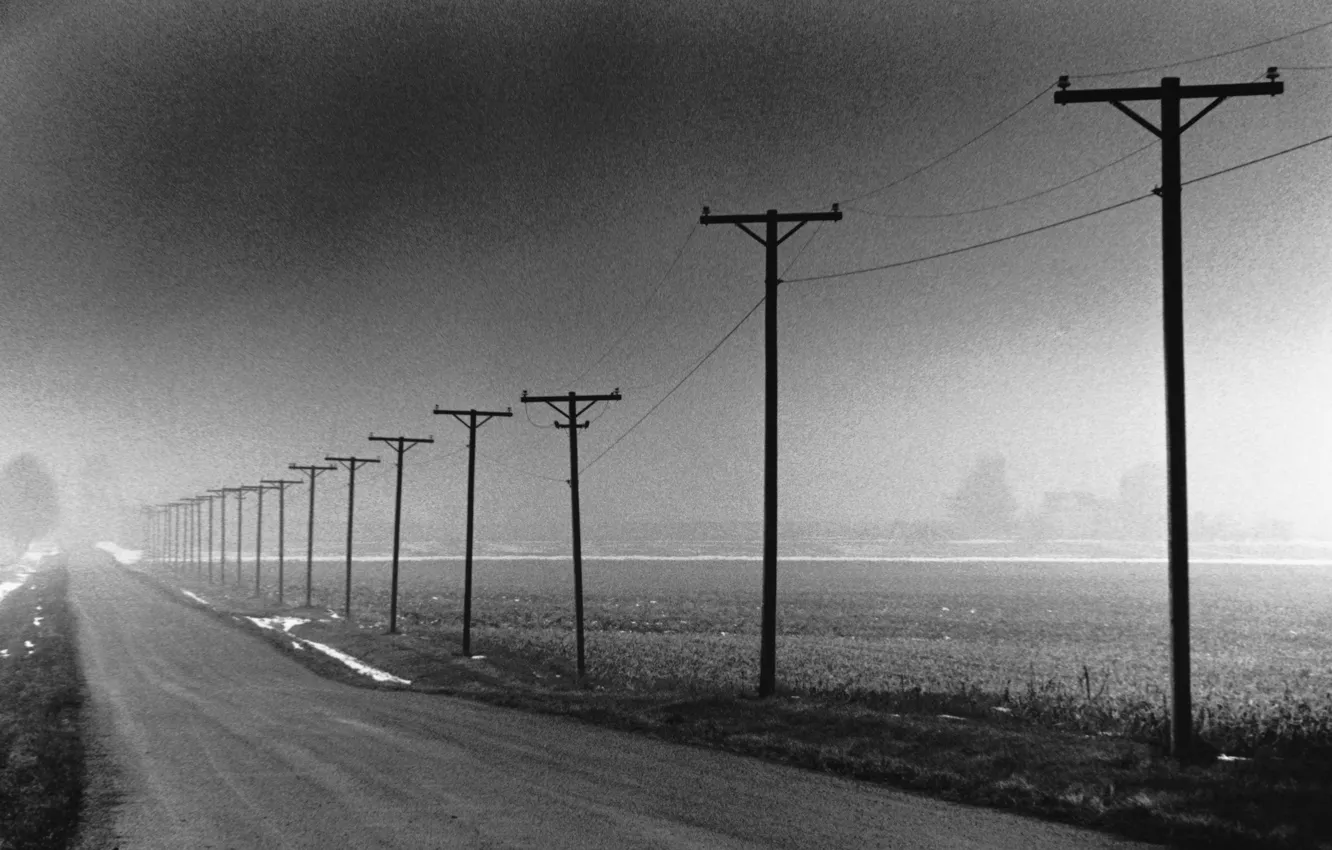 Photo wallpaper fog, posts, 150