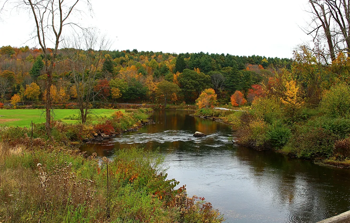 Photo wallpaper autumn, river, colors, river, autumn, fall