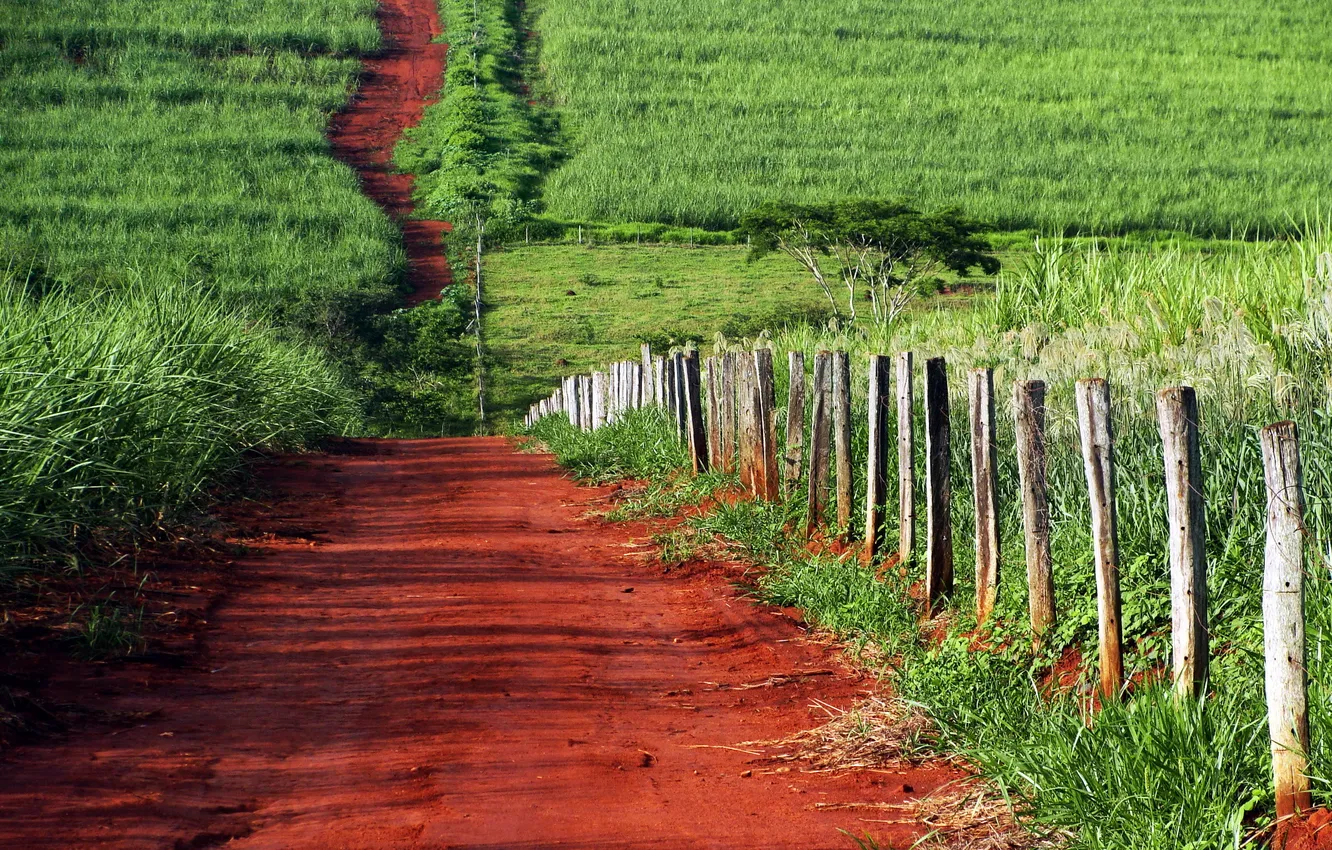 Photo wallpaper road, field, summer, the fence