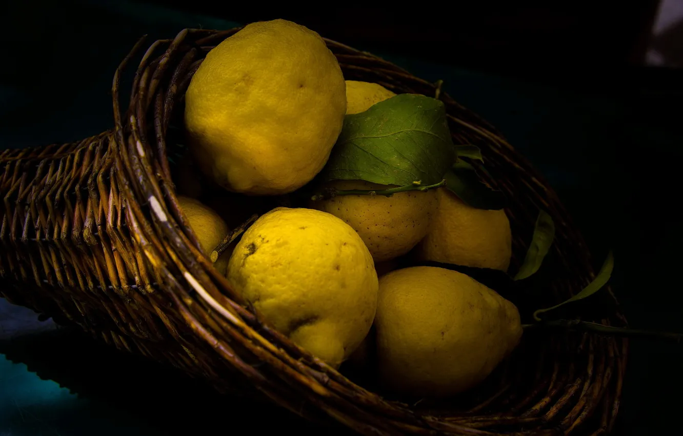 Photo wallpaper macro, lemon, fruit