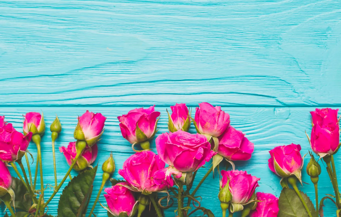 Photo wallpaper flowers, roses, pink, buds, fresh, wood, pink, flowers