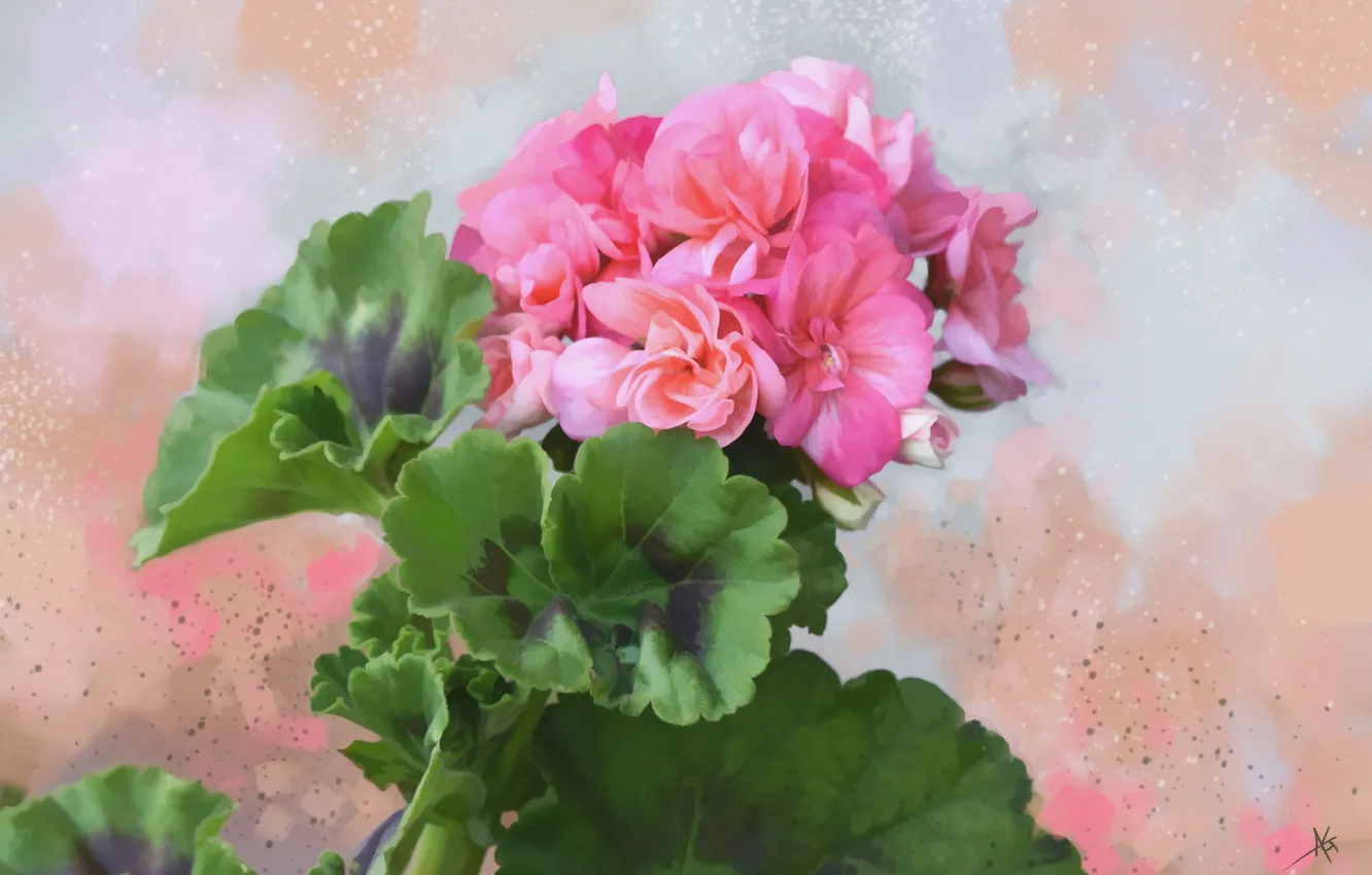 Photo wallpaper leaves, flowers, background, texture, geranium