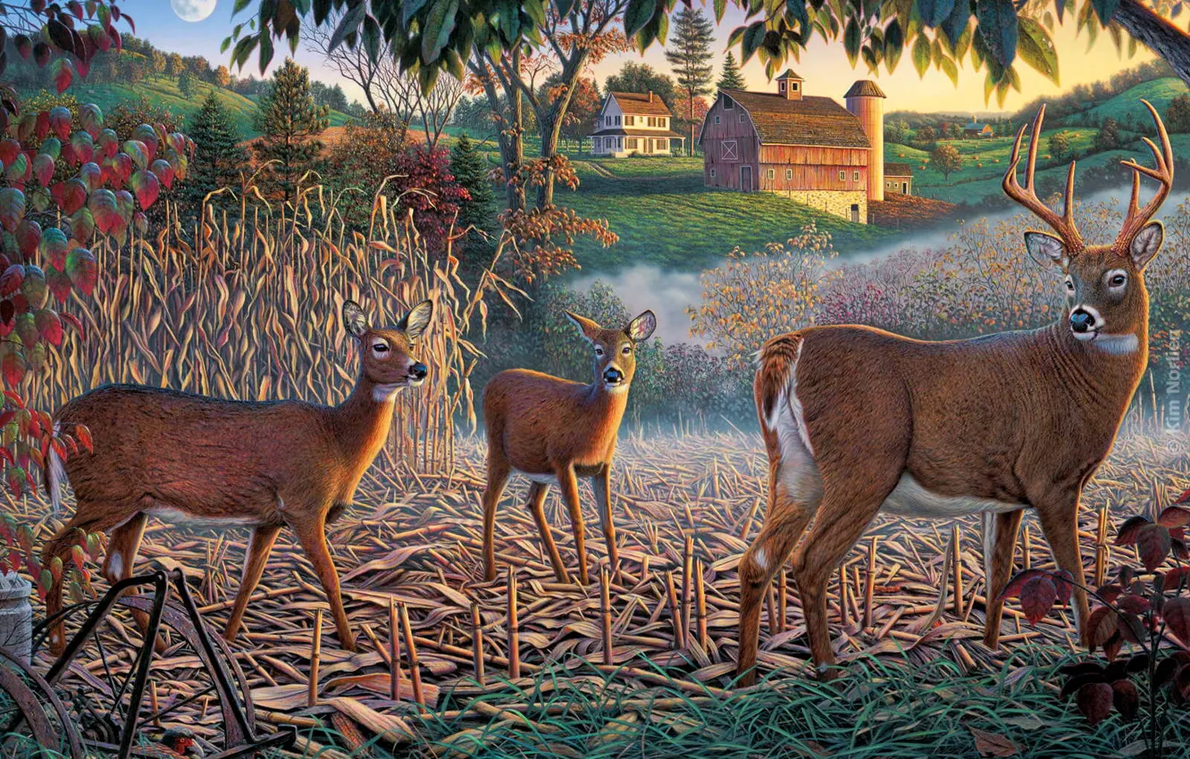 Photo wallpaper home, deer, Kim Norlien