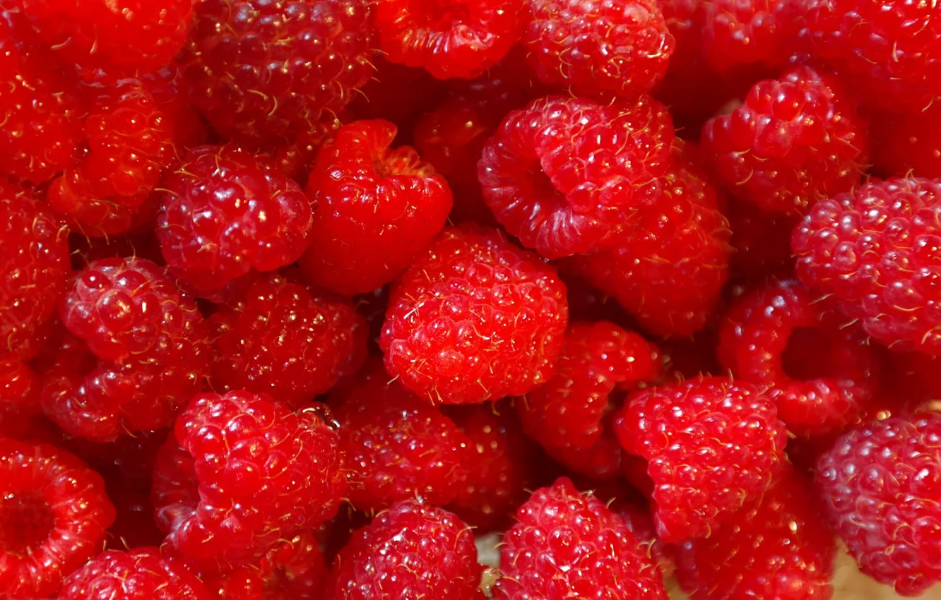 Photo wallpaper berries, raspberry, texture