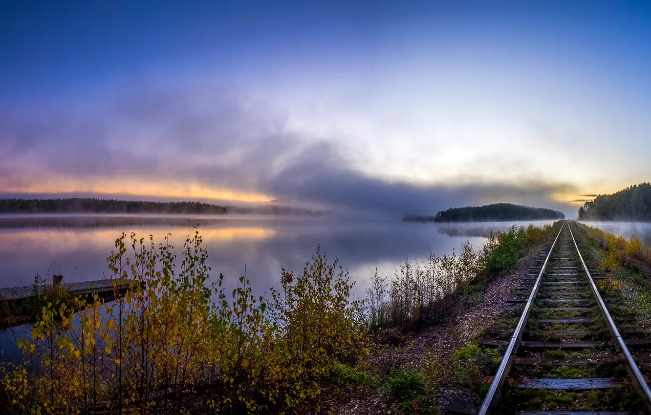 Photo wallpaper autumn, forest, the sky, trees, fog, river, dawn, rails