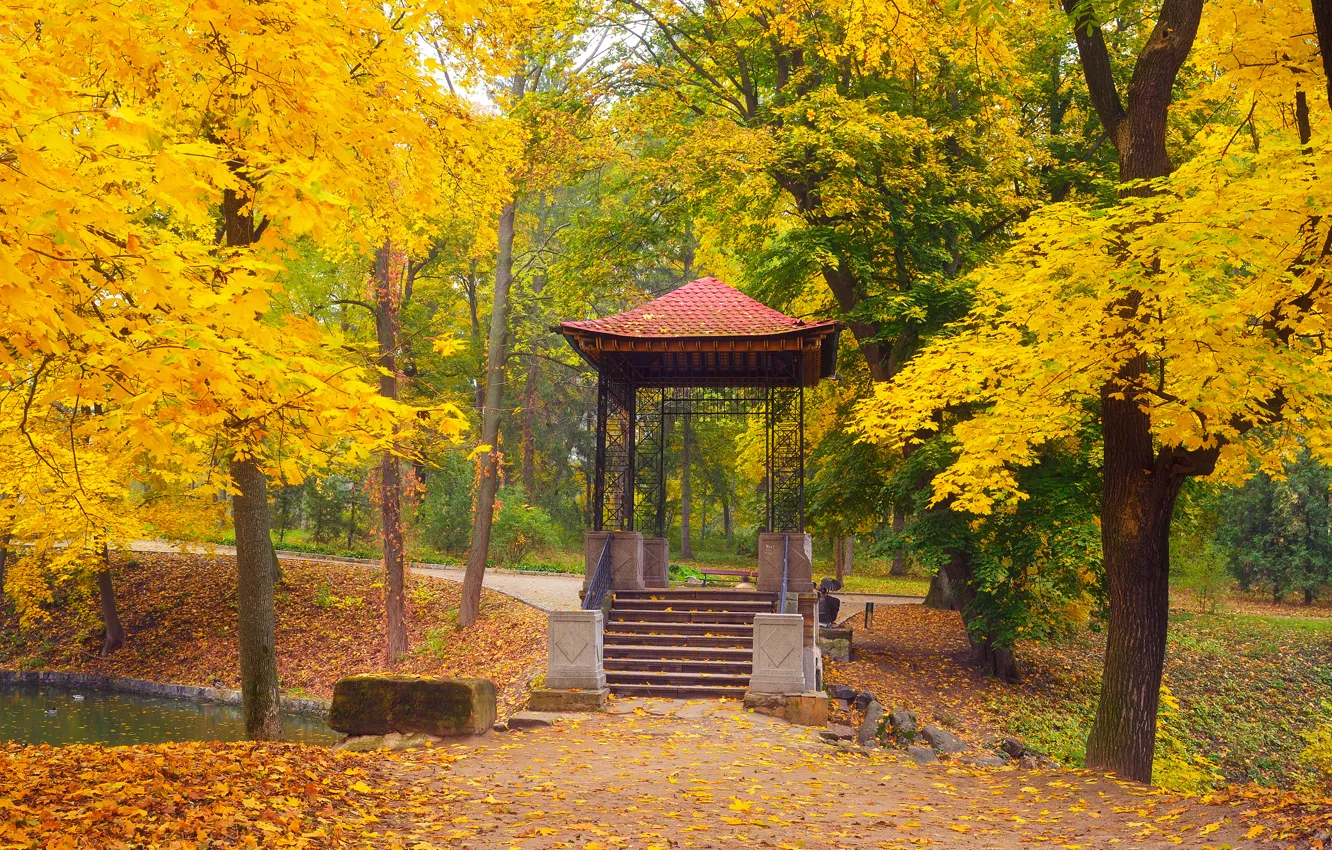 Photo wallpaper autumn, leaves, trees, Park, gazebo
