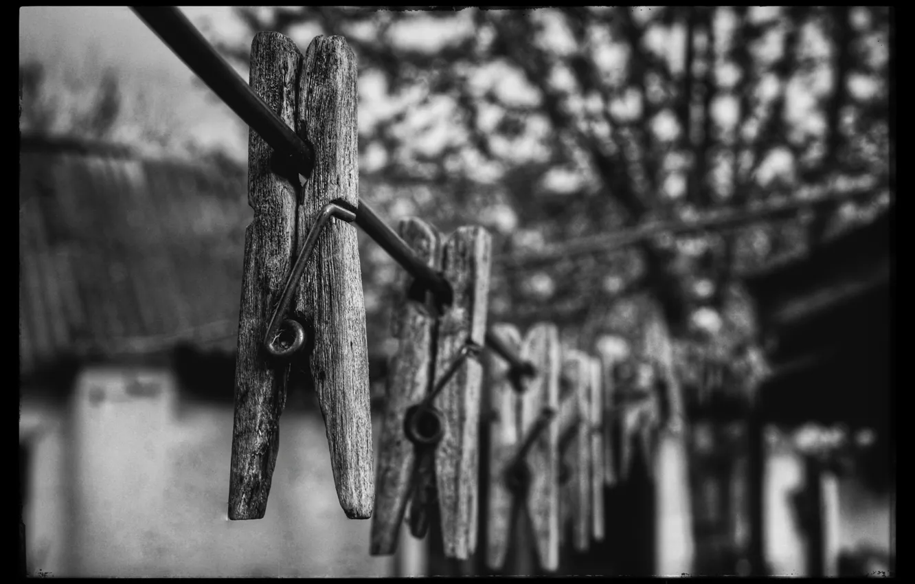 Photo wallpaper macro, wire, black and white, clothespins