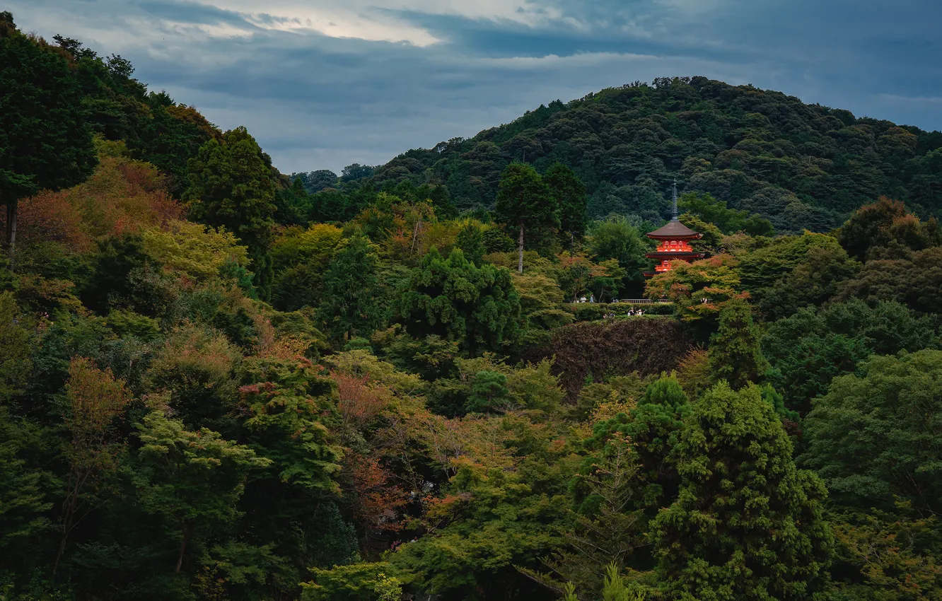 Photo wallpaper autumn, forest, the sky, trees, mountains, thickets, Asia, slope