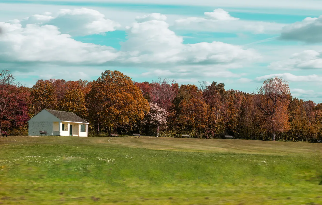 Photo wallpaper field, the sky, grass, clouds, trees, Park, home, bench
