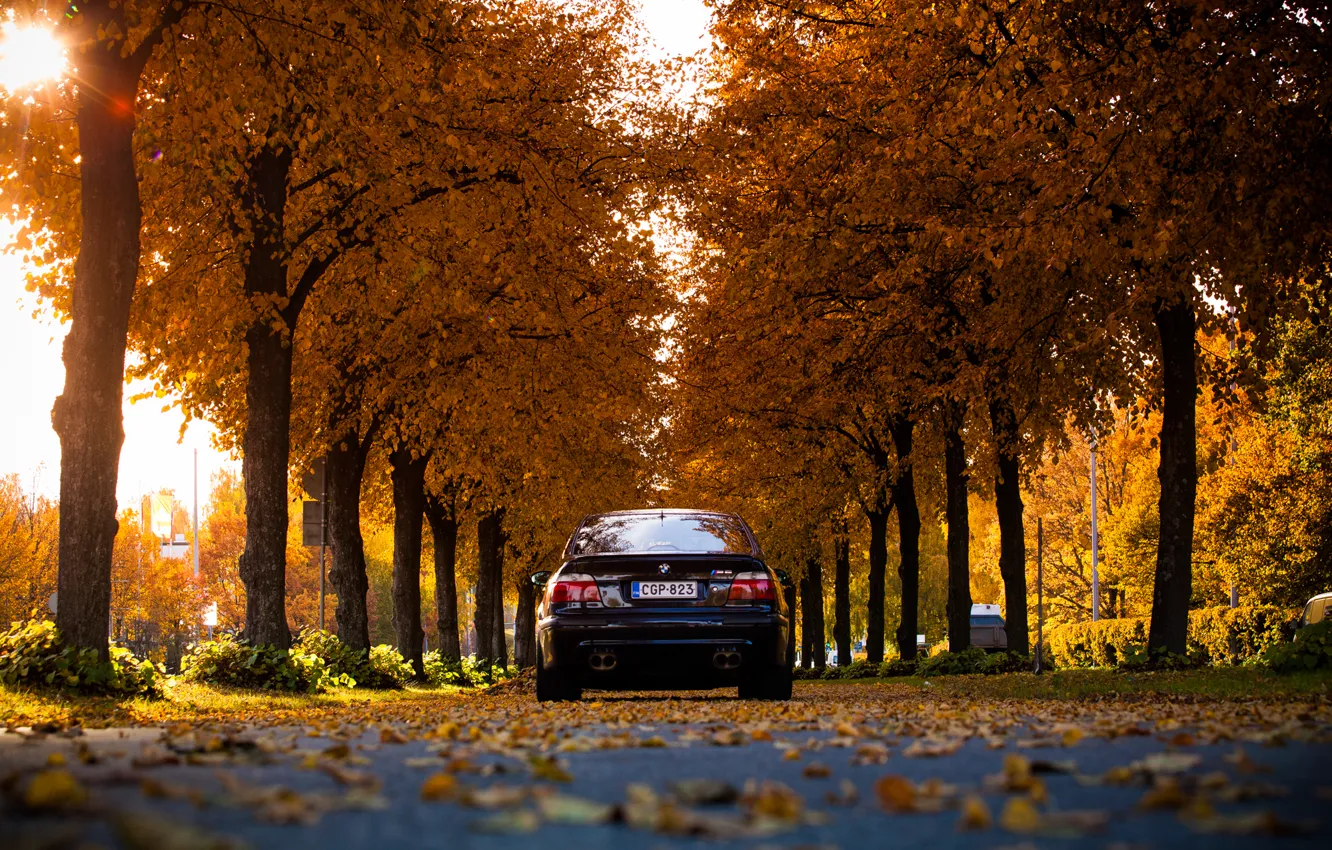 Photo wallpaper leaves, lights, BMW, BMW, Black, E39, autumn