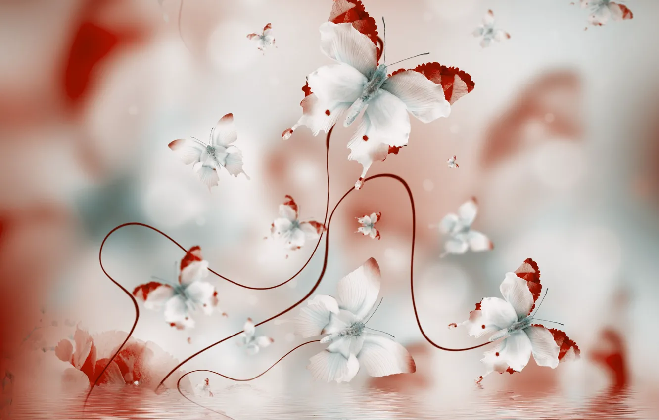 Photo wallpaper butterfly, petals, water, butterflies, floral