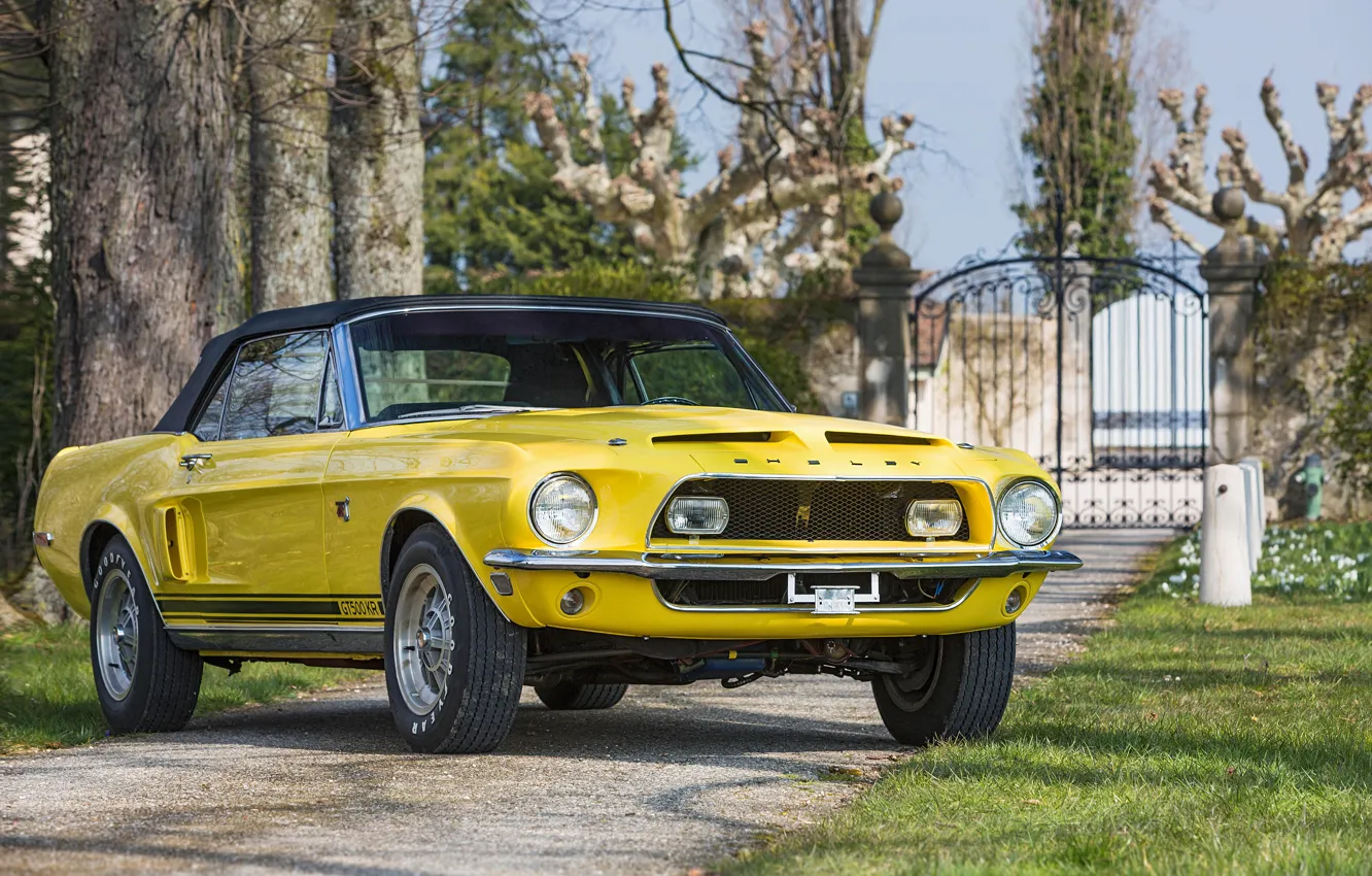 Photo wallpaper Mustang, Ford, Shelby, Ford Mustang, Front, Yellow, Convertible, GT500 KR