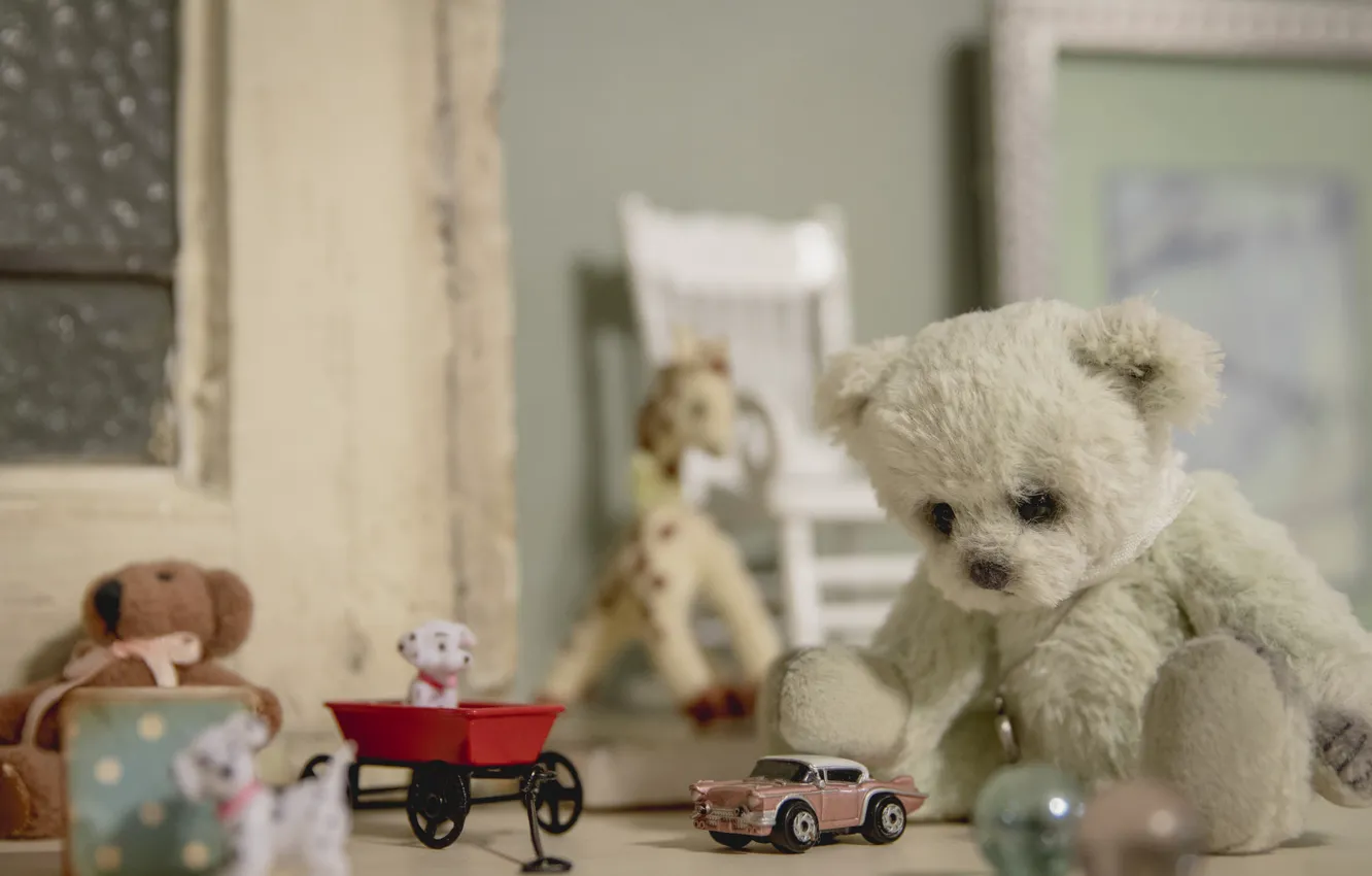 Photo wallpaper toys, bear, machine, vintage, dogs, Teddy bear
