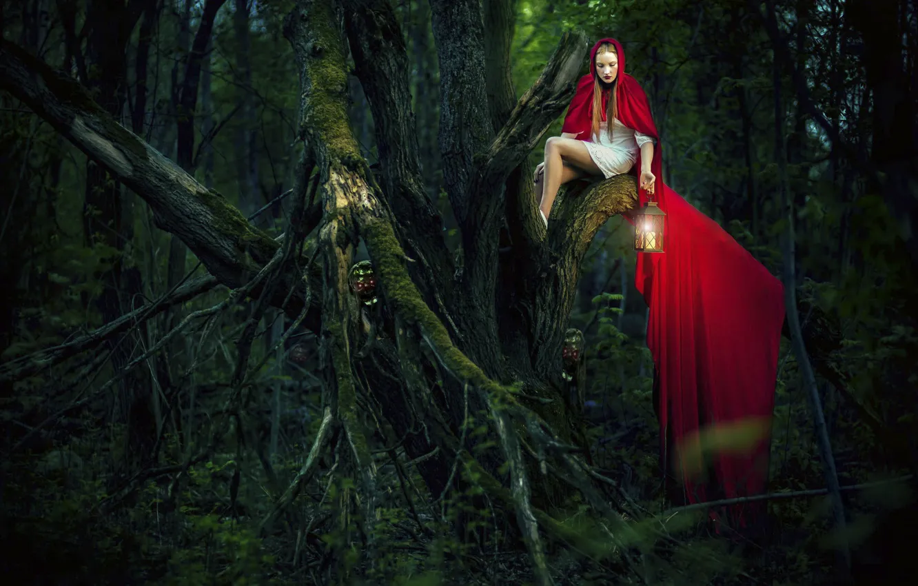 Photo wallpaper forest, girl, tree, art, red coat