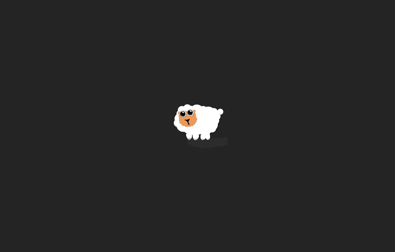 Photo wallpaper dark, sheep, sheep