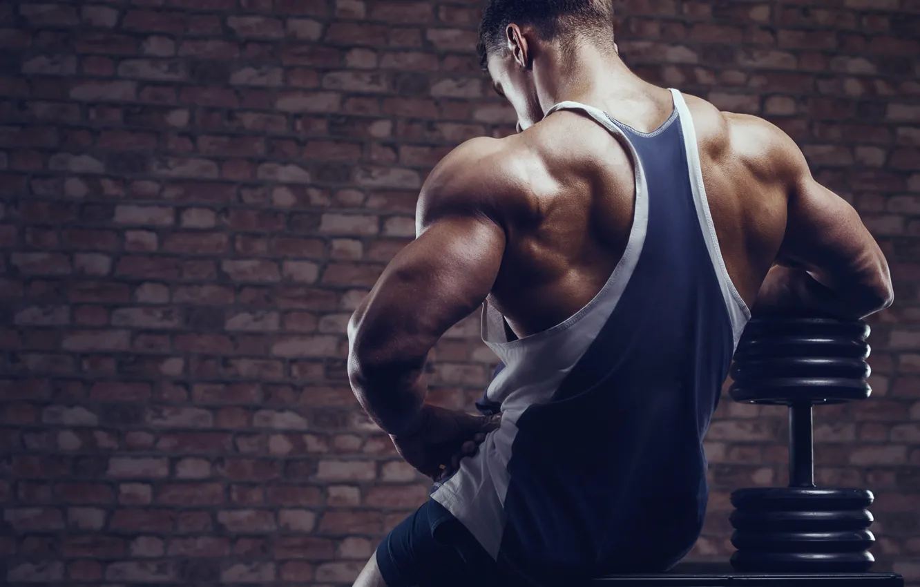 Photo wallpaper back, Muscle, muscle, back, dumbbells, workout, bodybuilder, weight