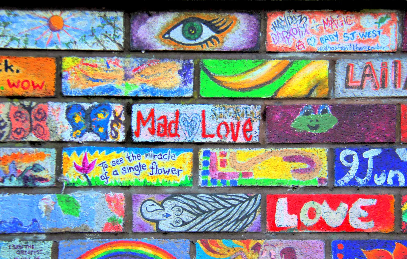 Photo wallpaper paint, color, wall