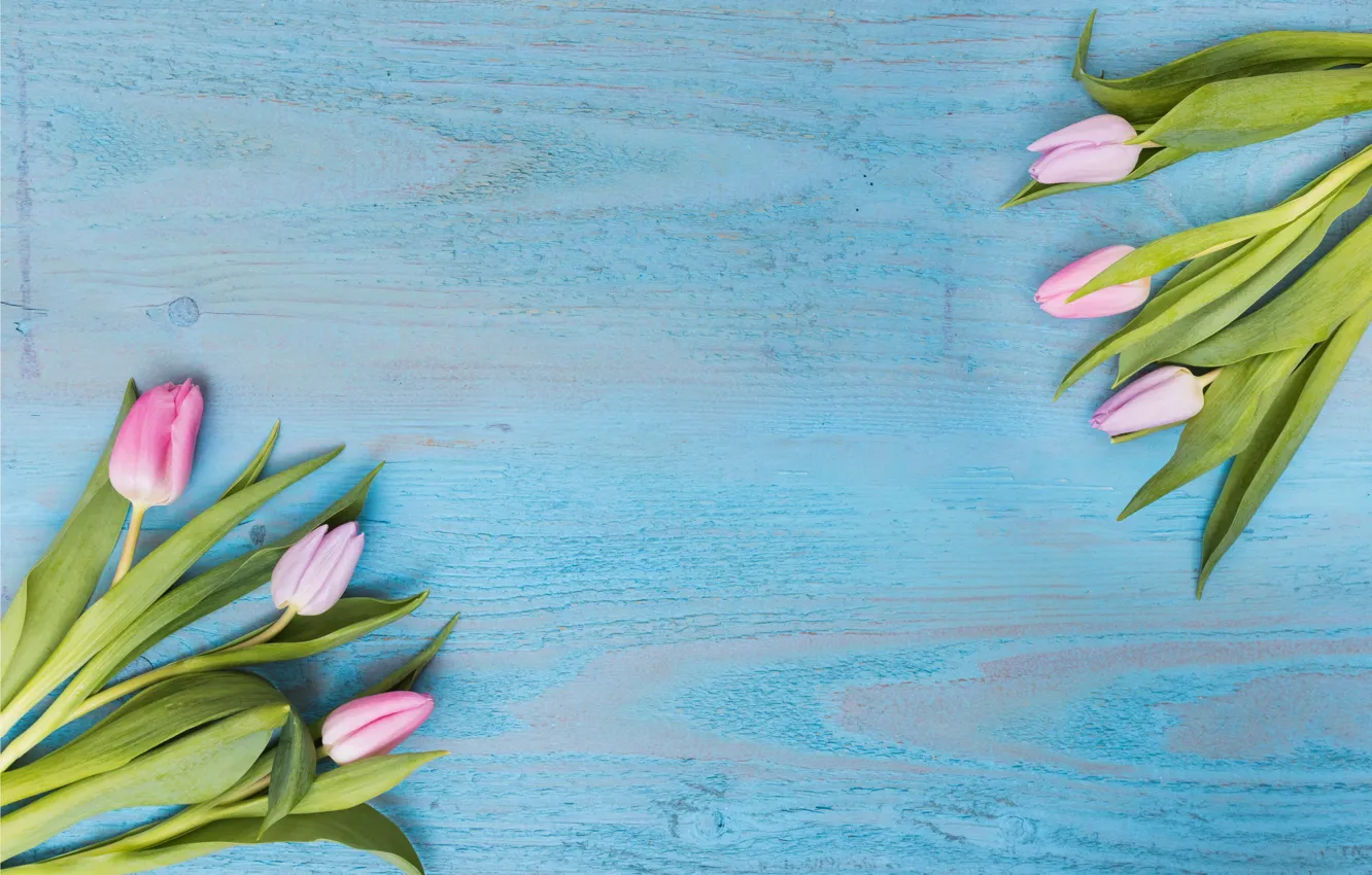 Photo wallpaper flowers, tulips, pink, fresh, wood, pink, flowers, tulips