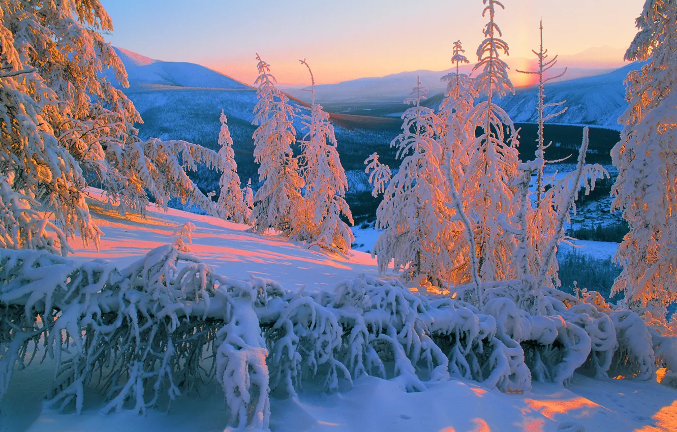Photo wallpaper winter, snow, trees, landscape, mountains, nature, Yakutia, Vladimir Ryabkov
