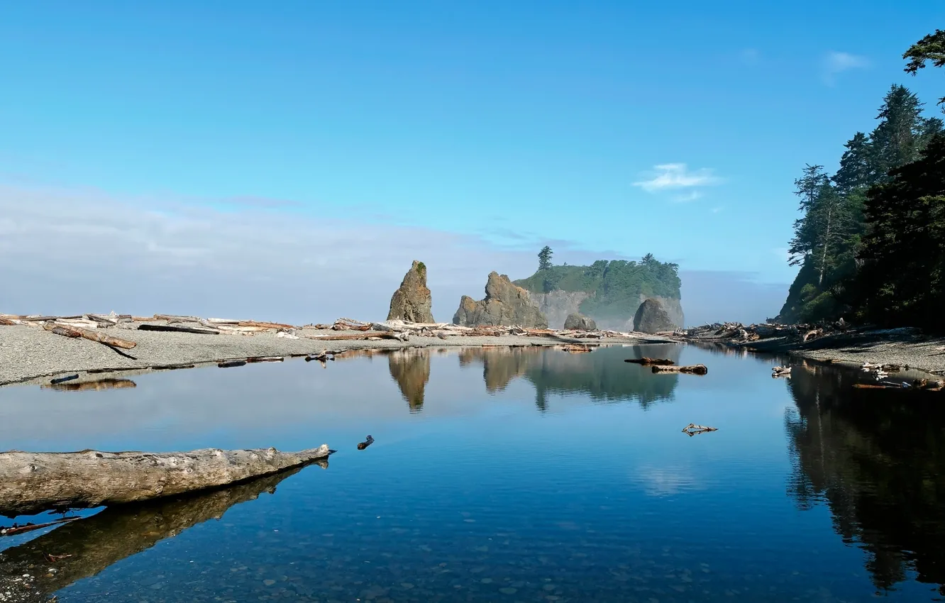 Photo wallpaper water, stones, log