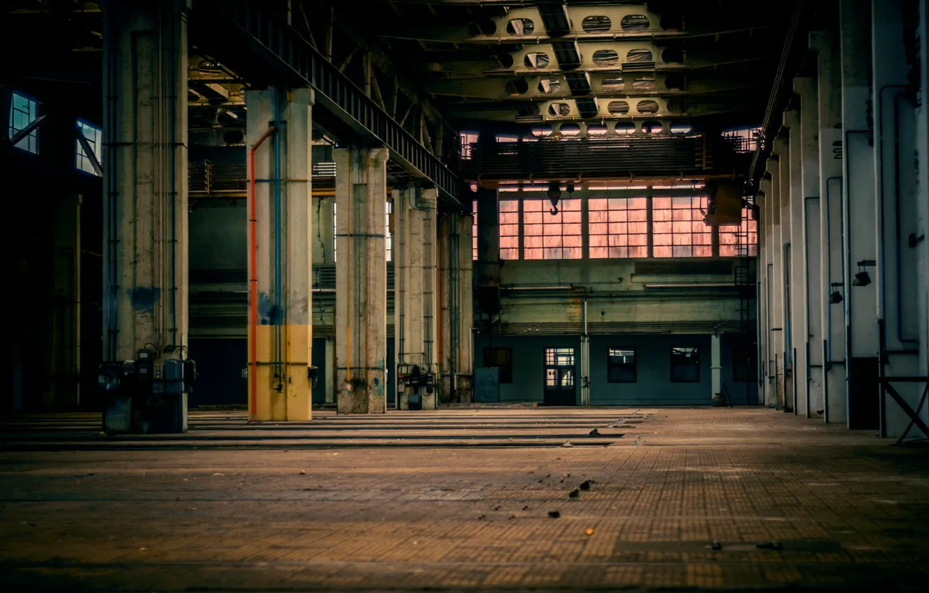 Photo wallpaper plant, Windows, architecture, abandoned the premises