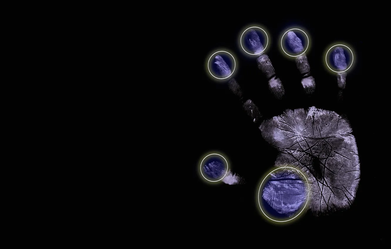 Photo wallpaper hands, fingers, palm, imprint