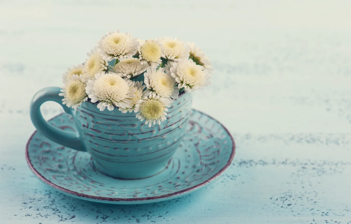 Photo wallpaper Cup, white, chrysanthemum, THE OFF