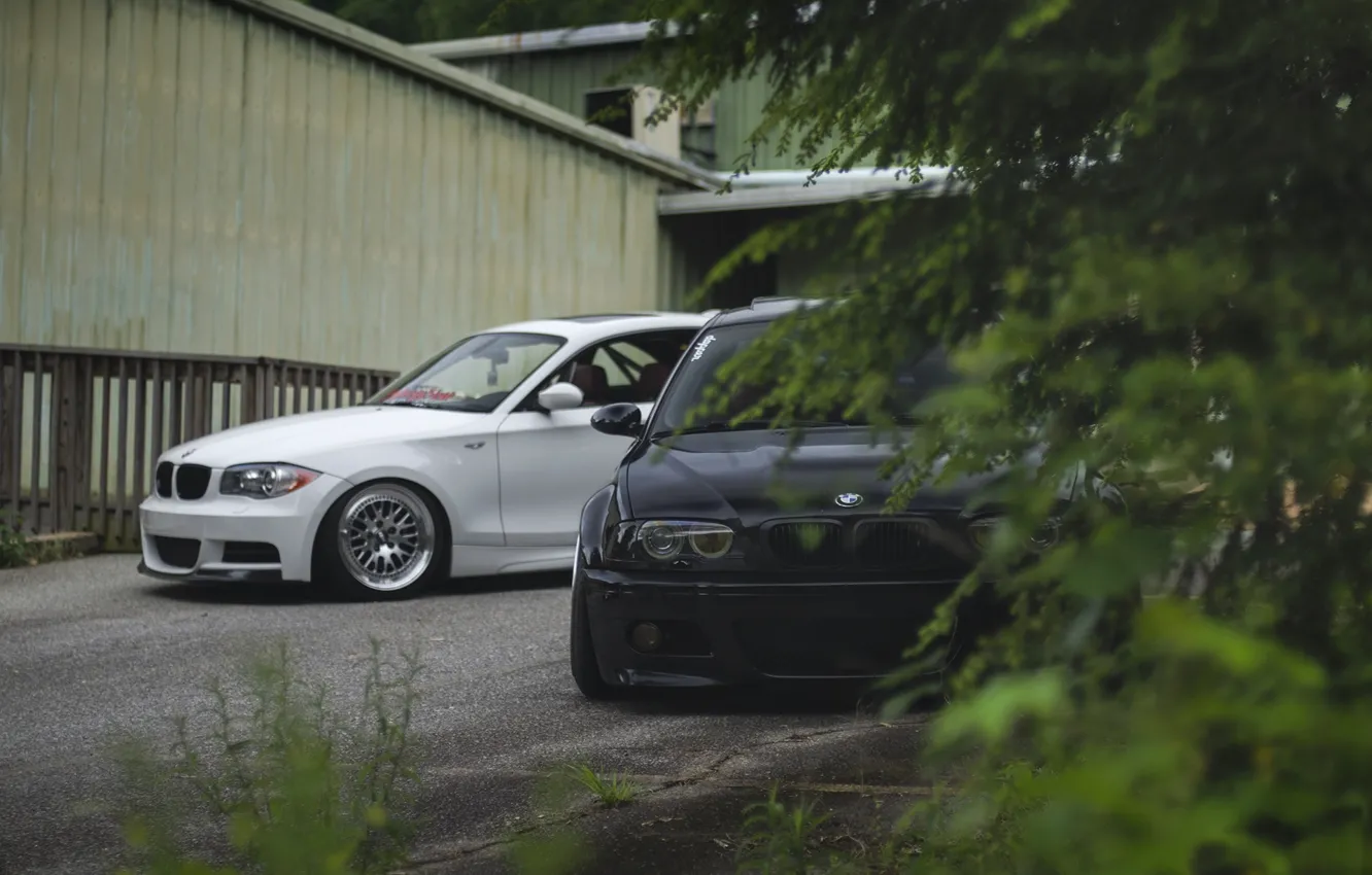 Photo wallpaper white, black, the fence, BMW, the bushes, E46
