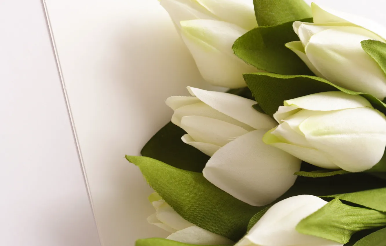 Photo wallpaper leaves, flowers, bouquet, green, tulips, white