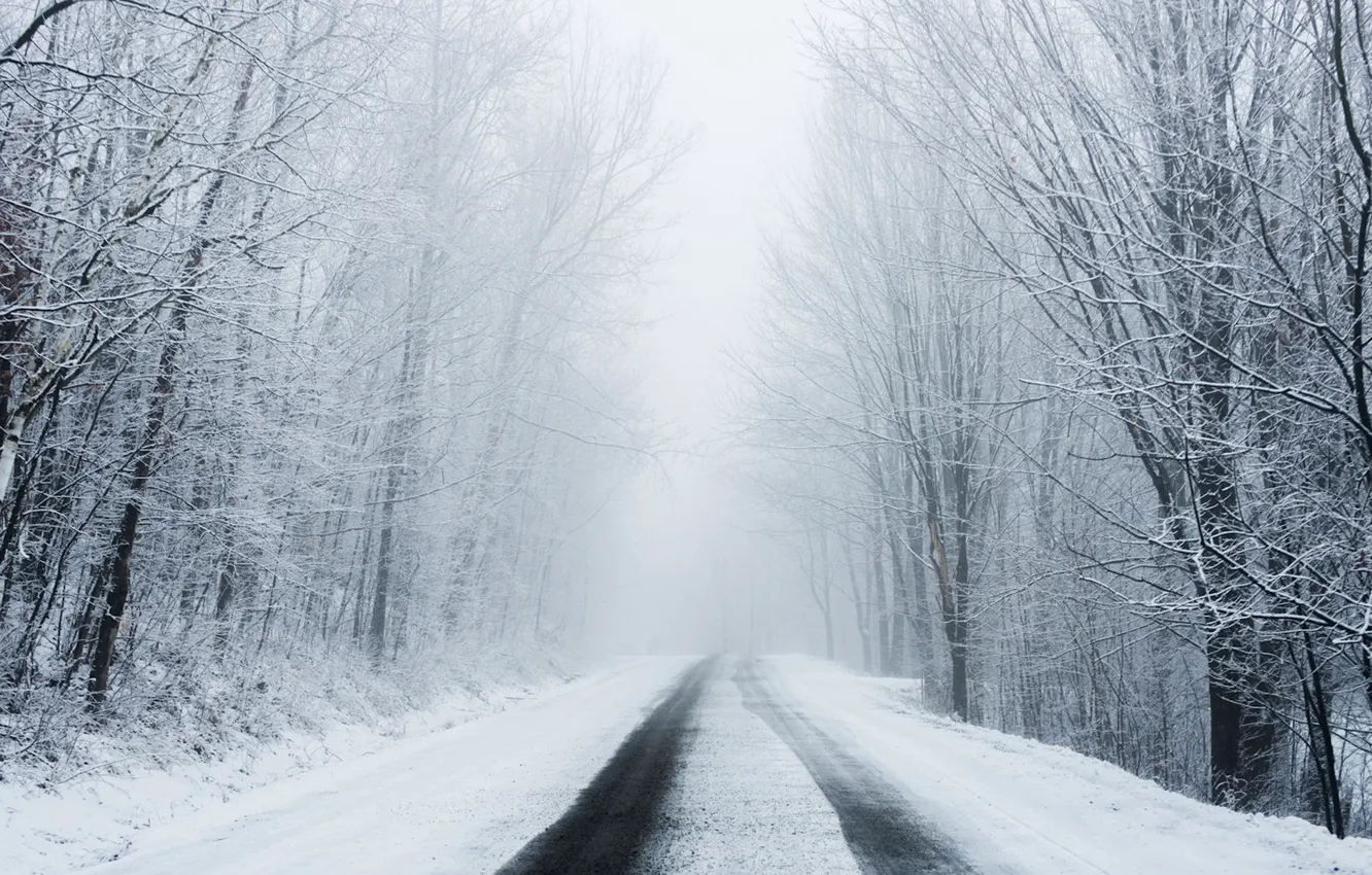 Photo wallpaper winter, road, snow, landscape