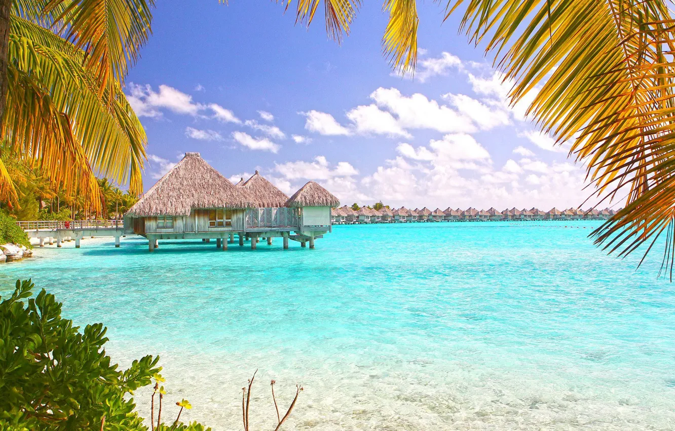 Photo wallpaper palm trees, the ocean, the hotel, Bungalow, Bora-Bora, tropical isl