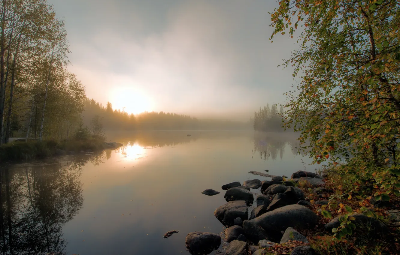 Photo wallpaper autumn, fog, lake, morning