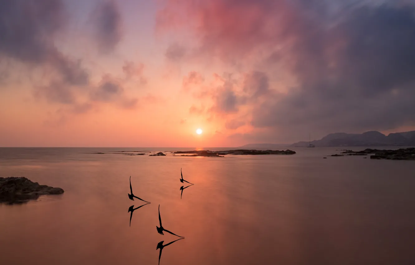 Photo wallpaper beach, sea, ocean, sunset, seagulls