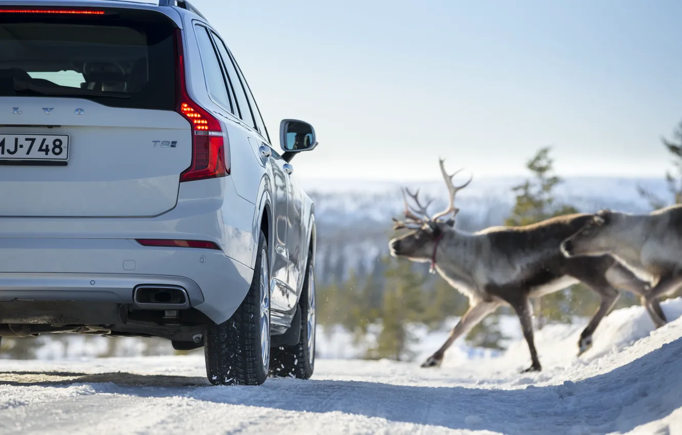 Photo wallpaper Winter, Volvo, Snow, Deer, Back, luxury SUV, Luxury SUV, Volvo XC90 T8