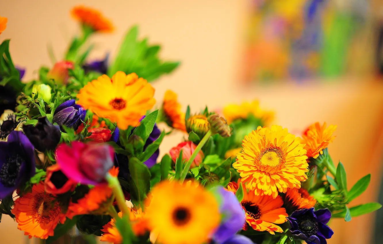 Photo wallpaper nature, bouquet, petals