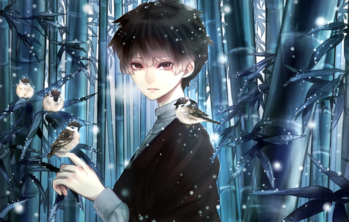 Photo wallpaper snow, birds, Girl, bamboo