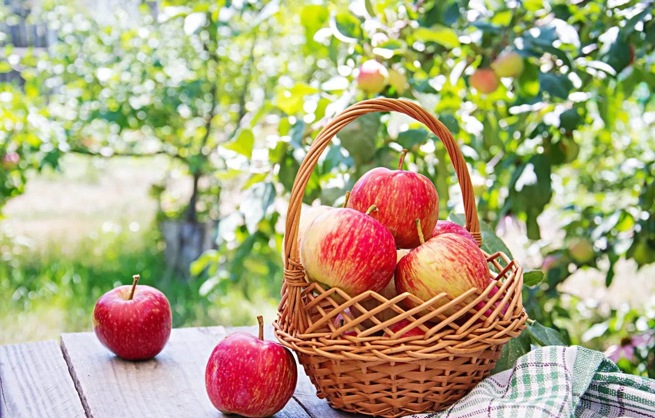 Photo wallpaper apples, garden, basket