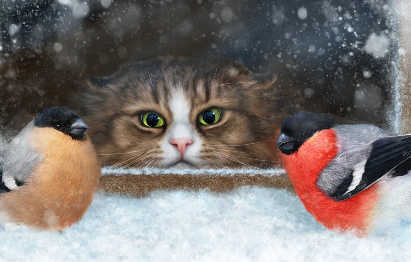Photo wallpaper cat, snow, birds, muzzle, observation, bullfinches