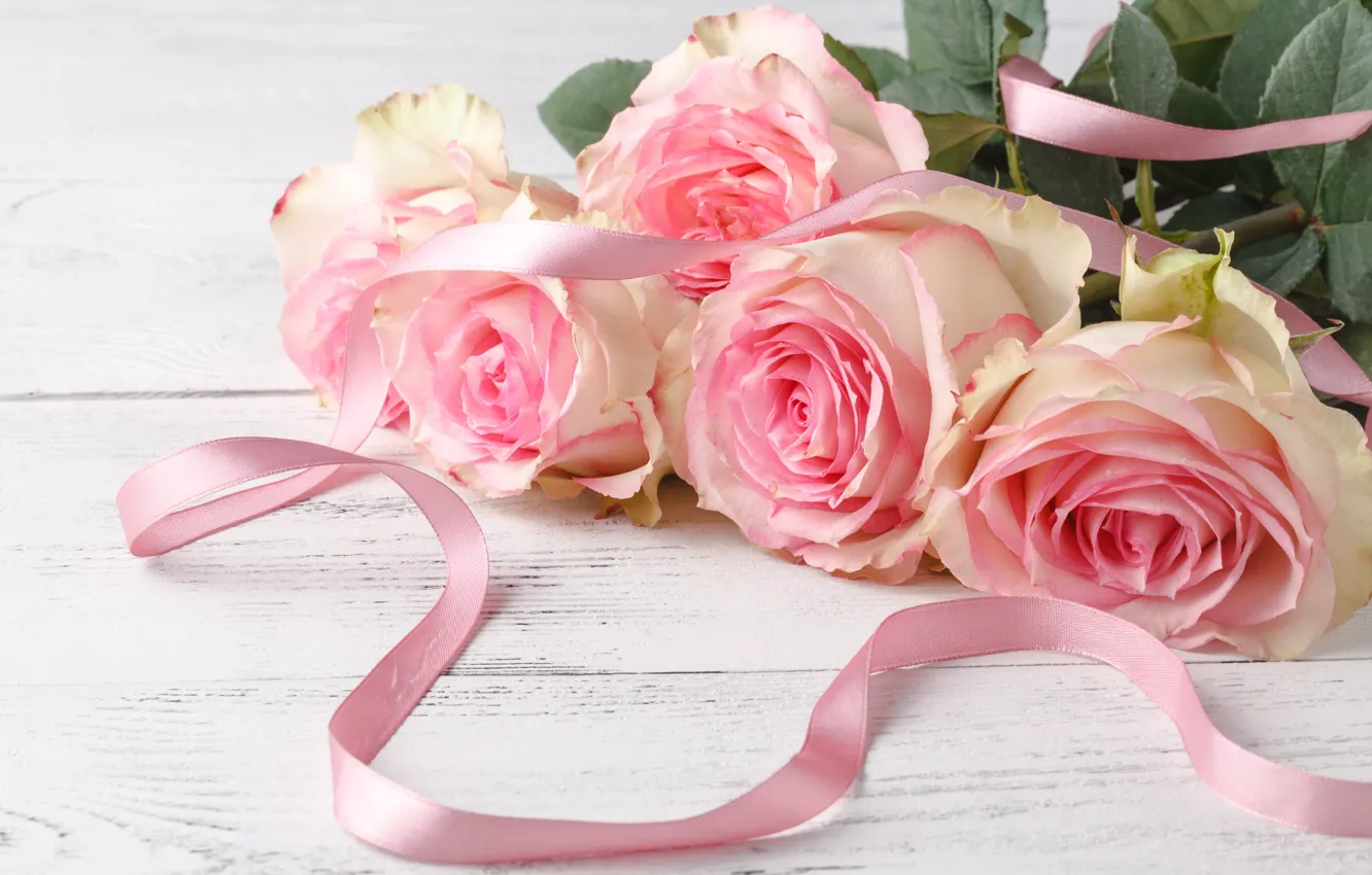 Photo wallpaper roses, tape, pink, Andrey Cherkasov