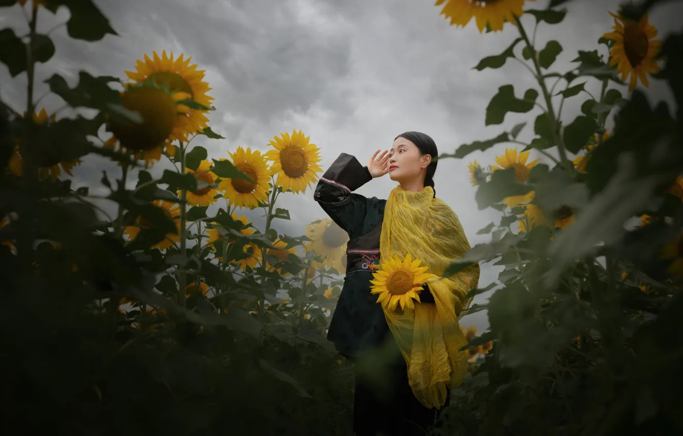 Photo wallpaper pose, look, Nick Vison, nature, girl, field, sunflowers, Asian