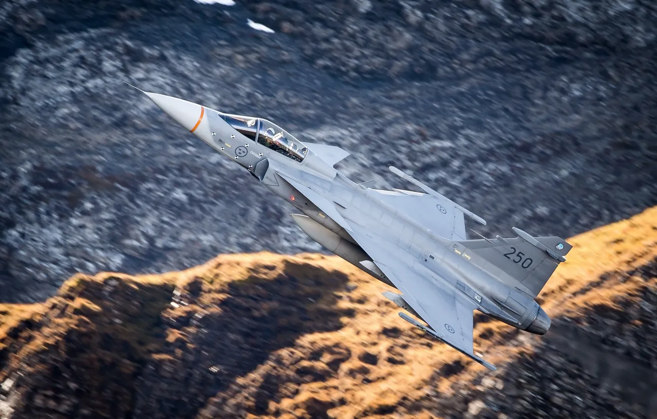 Photo wallpaper flight, fighter, You can, bomber, multipurpose, Gripen, JAS 39