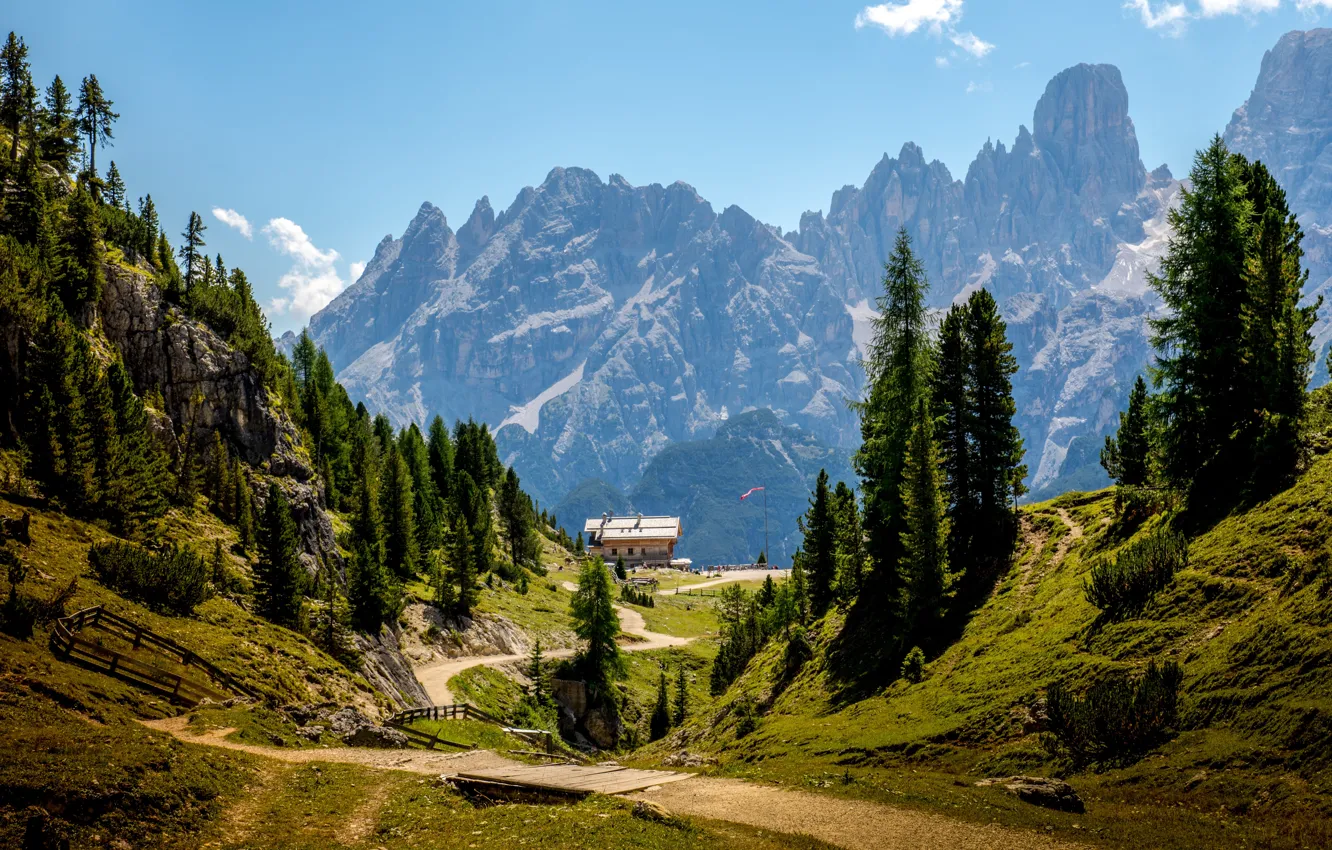 Photo wallpaper trees, mountains, stones, rocks, Alps, Italy, gorge, Sunny