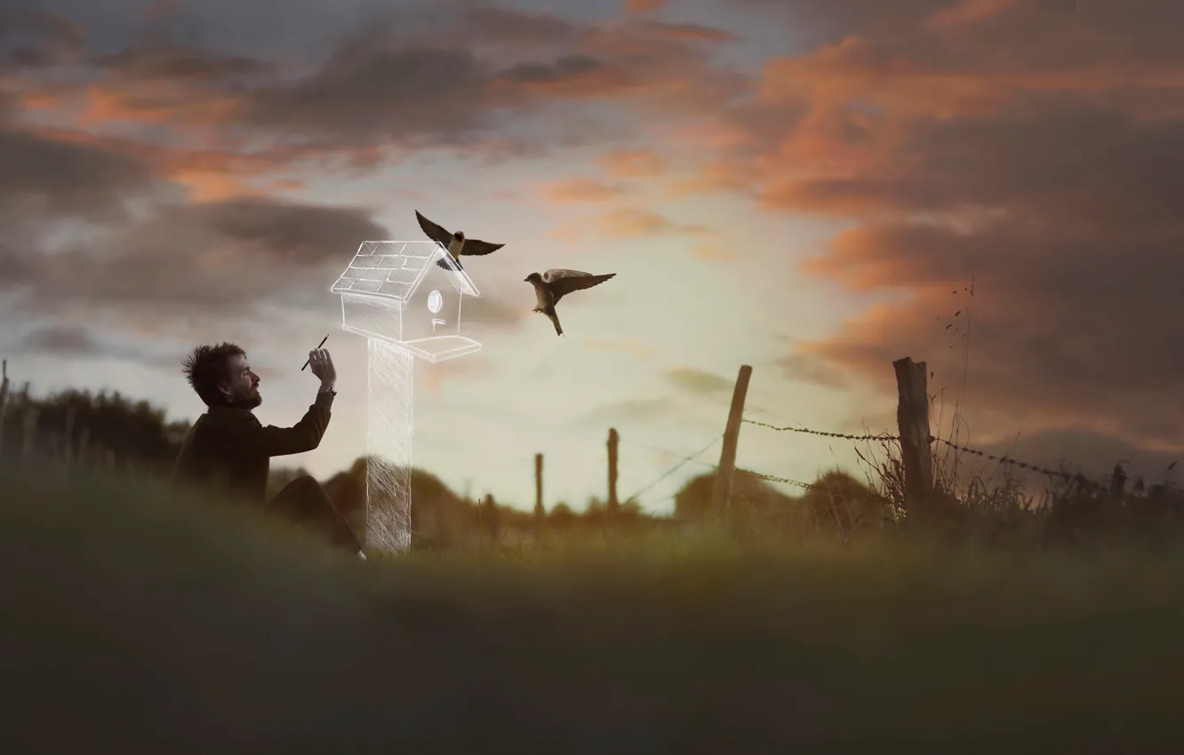 Photo wallpaper bird, figure, art, birdhouse, male