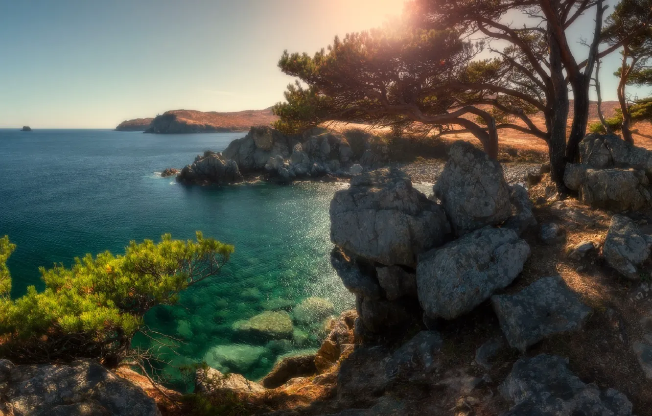 Photo wallpaper sea, trees, nature, stones, Primorsky Krai, Andrew Krovlin