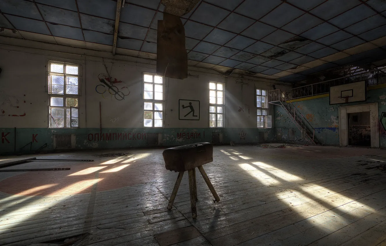 Photo wallpaper horse, sport, hall